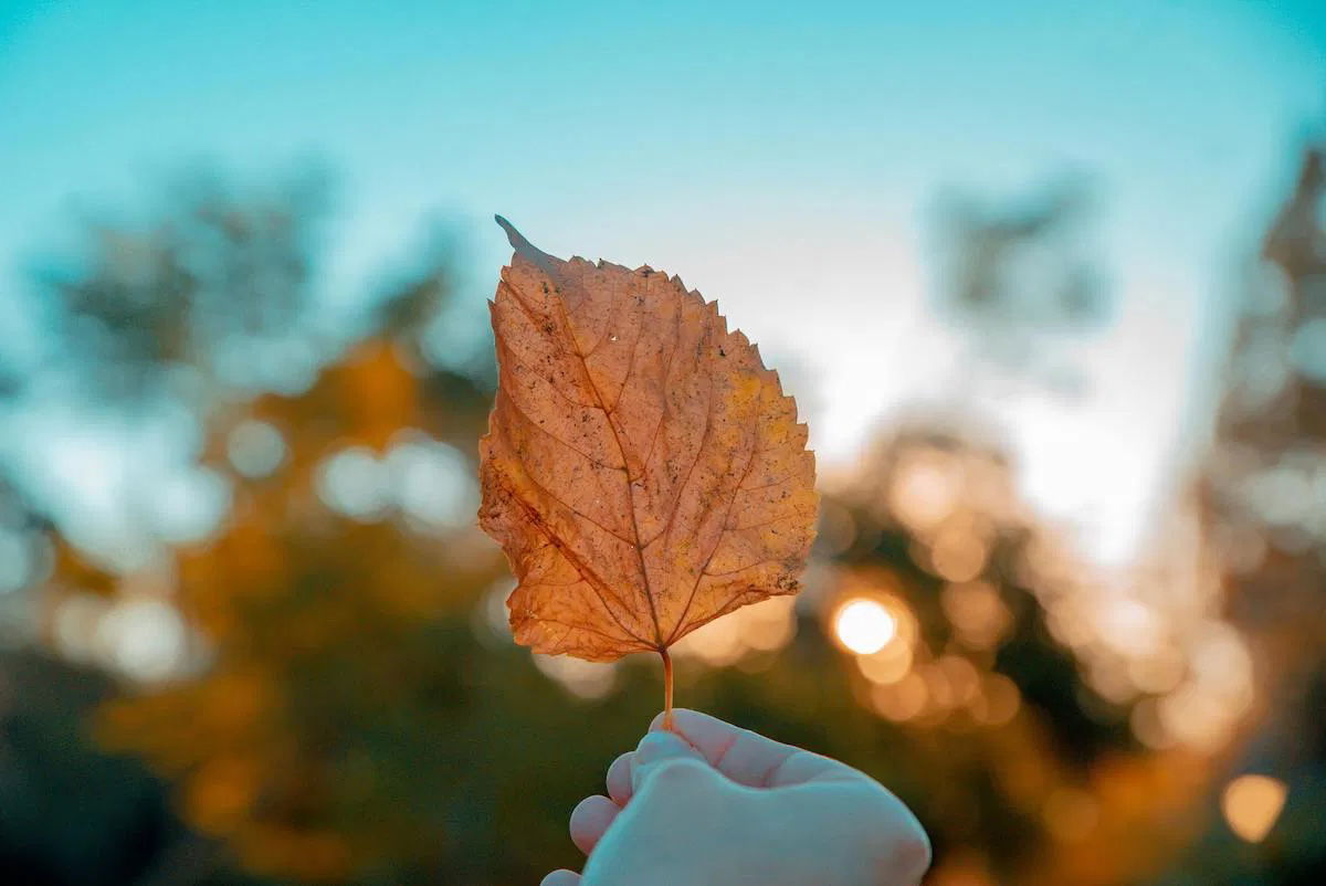 Mindfulness in autumn: 8 calming activities